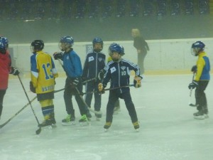 Hokej, srpen (9)